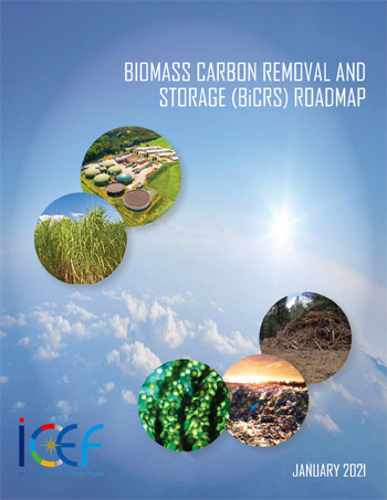 バイオマス炭素除去・貯蔵（BiCRS）
